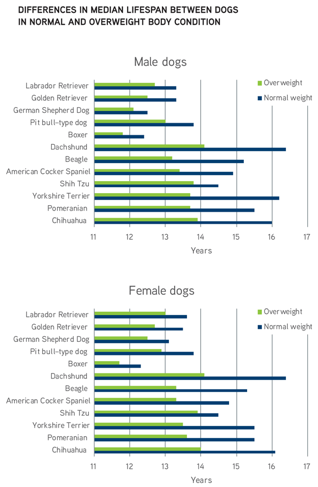 do female or male dogs live longer