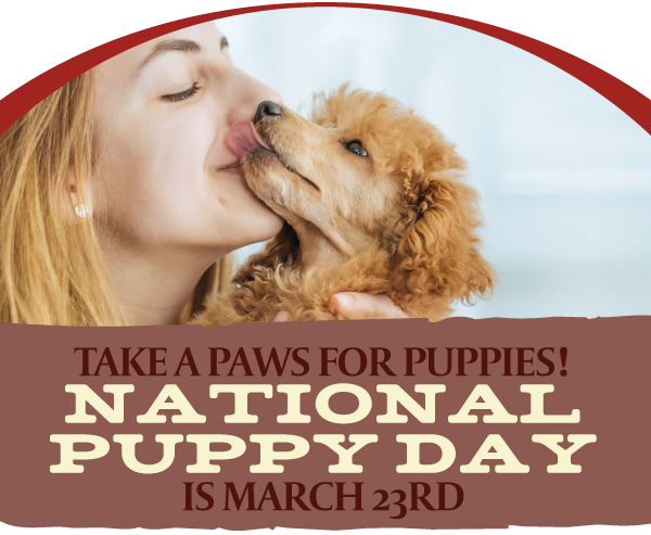 National puppy day graphic