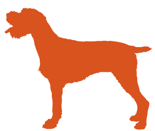 Dog Icon