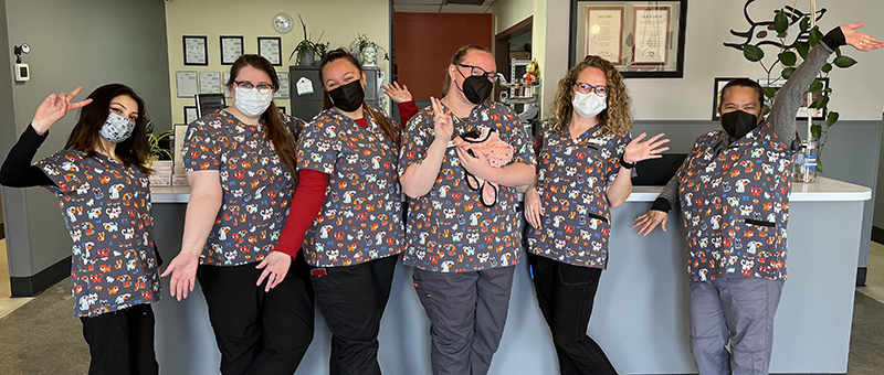 Meet Our Animal Hospital Team San Bruno Pet Hospital