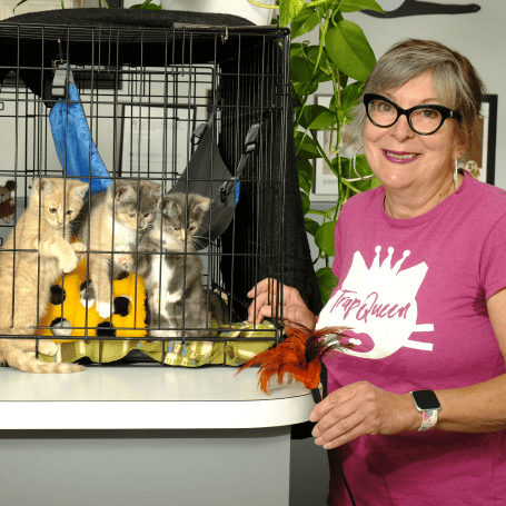woman and caged kittens
